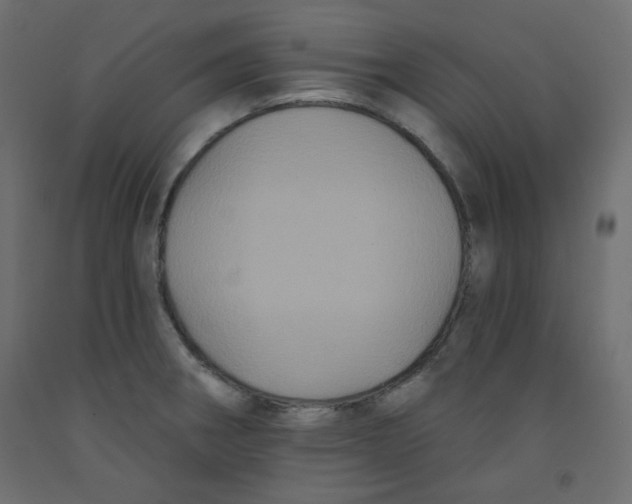 X0000092321282200710121515