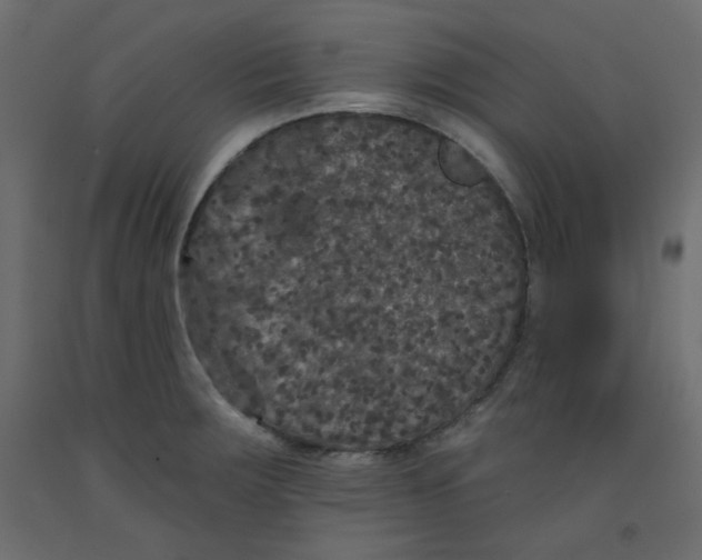 X0000092321283200710121515