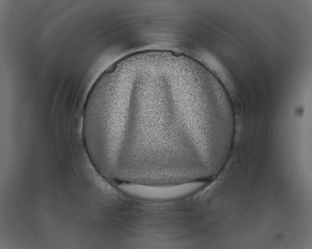 X0000092321284200710121515