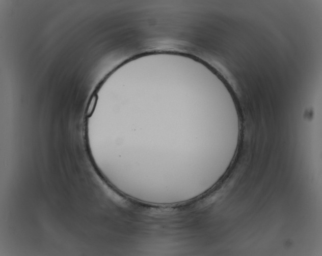 X0000092321285200710121515