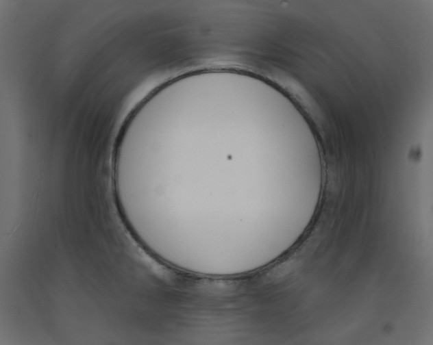 X0000092321286200710121515