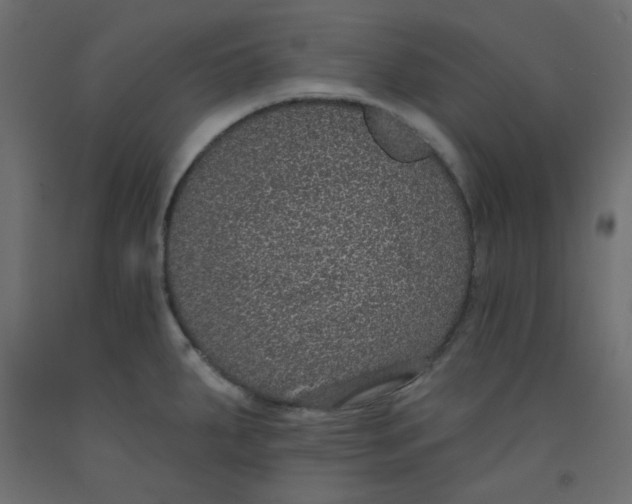X0000092321287200710121515