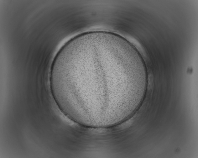 X0000092321288200710121515