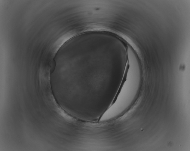 X0000092321289200710121515