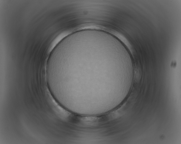X0000092321290200710121515