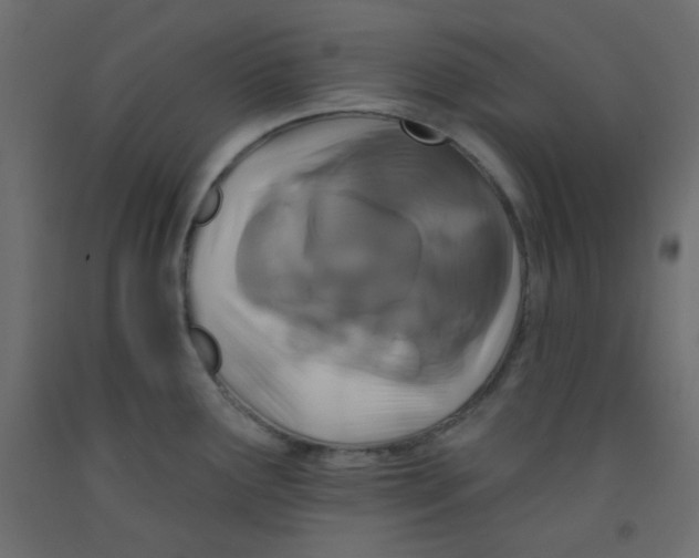 X0000092321291200710121515