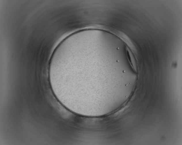 X0000092321292200710121515