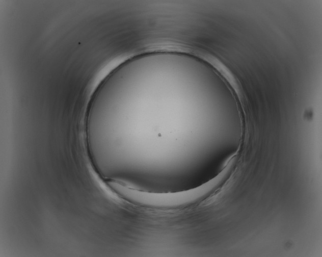 X0000092321293200710121515