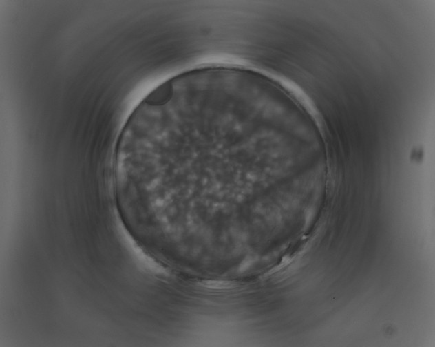 X0000092321295200710121515