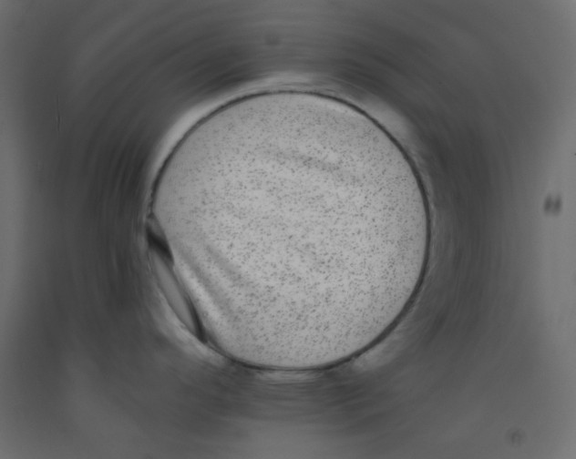 X0000092321296200710121515