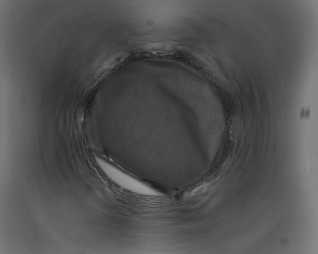 X0000092321298200710121514