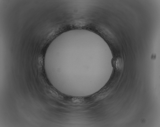 X0000092321299200710121514