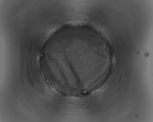 X0000092321300200710121514