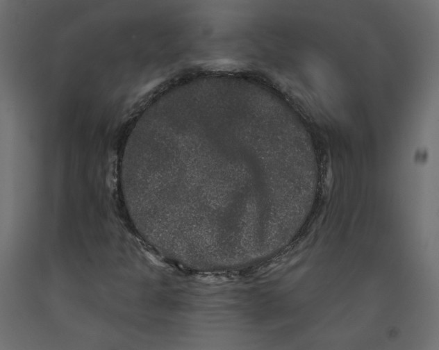 X0000092321301200710121514
