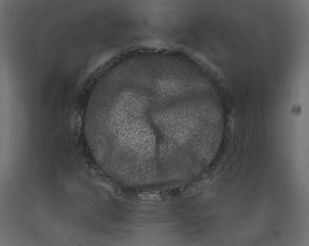 X0000092321302200710121514