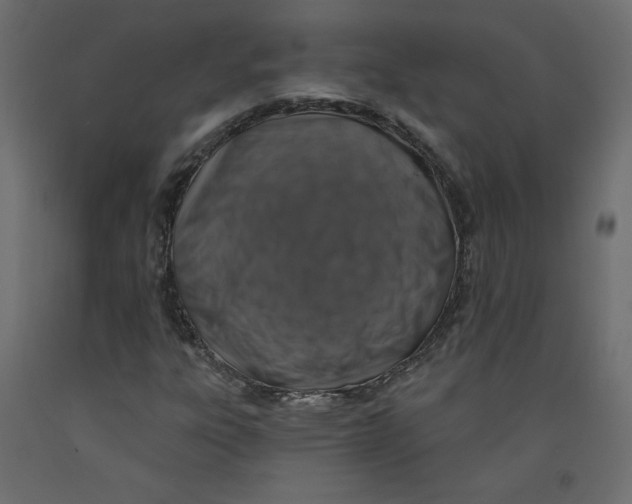 X0000092321303200710121514