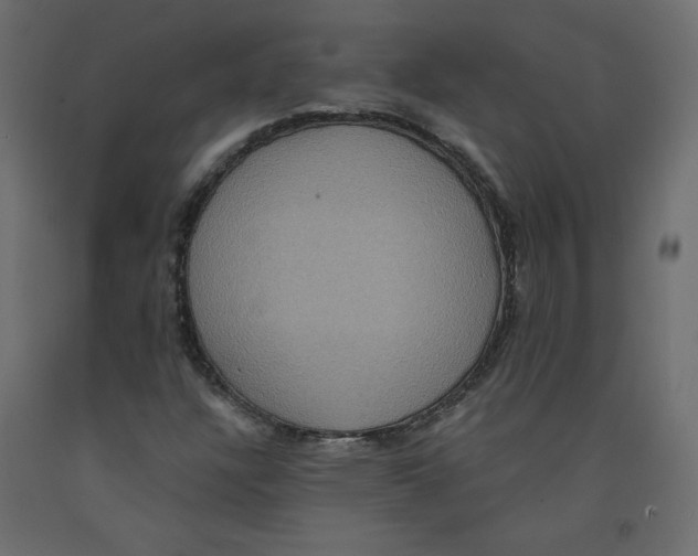 X0000092321304200710121514