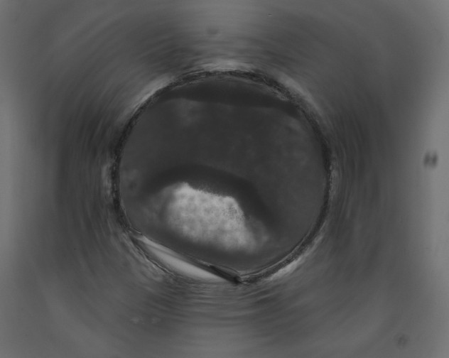 X0000092321305200710121514
