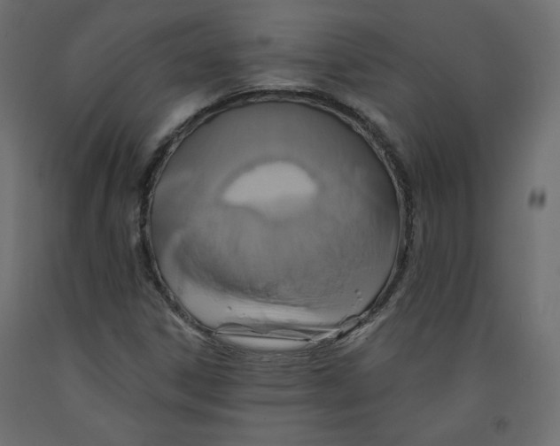 X0000092321306200710121514