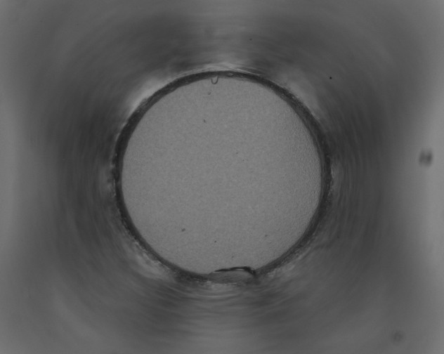 X0000092321308200710121514