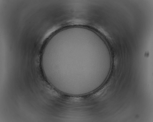 X0000092321309200710121514