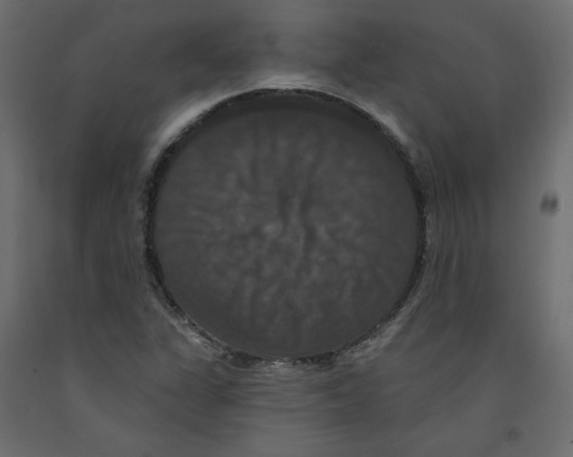X0000092321311200710121515
