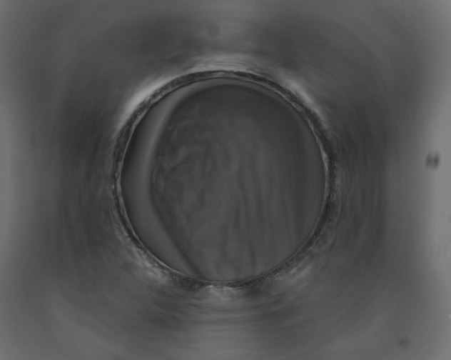 X0000092321312200710121515