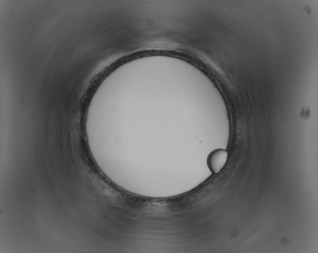X0000092321315200710121515