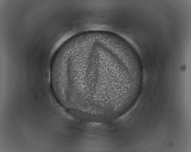 X0000092321317200710121515