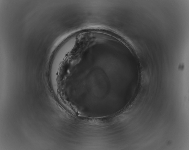 X0000092321319200710121515