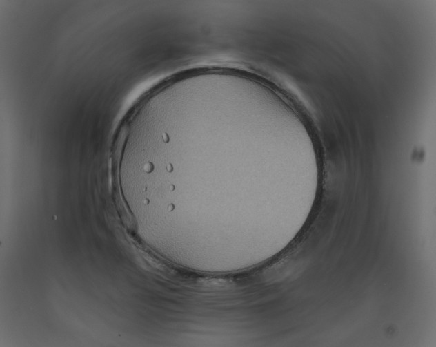 X0000092321320200710121515