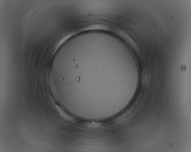 X0000092321321200710121515