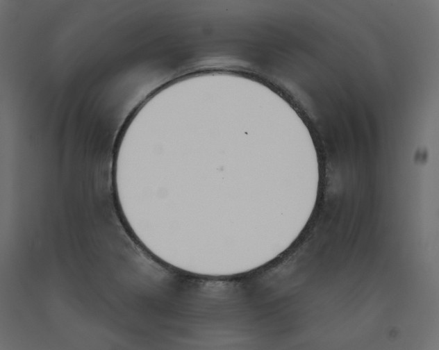 X0000092321322200710121515