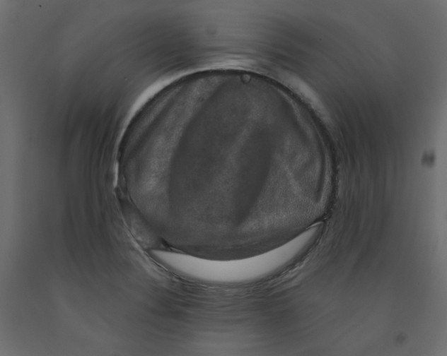 X0000092321324200710121515