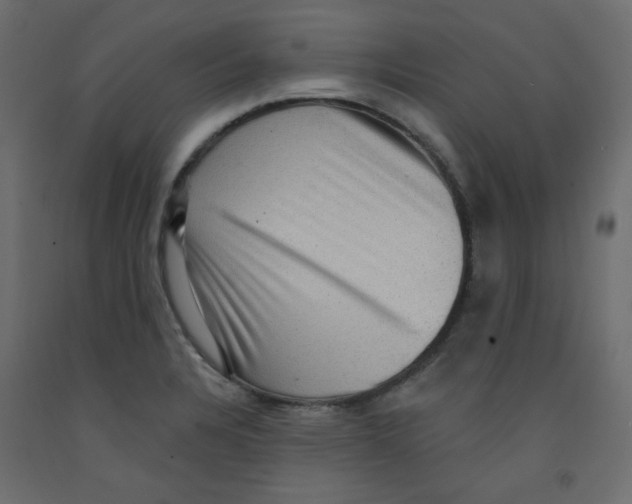 X0000092321328200710121515