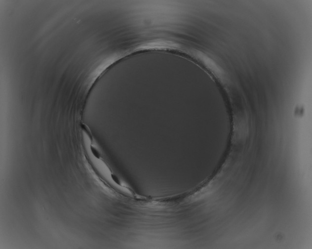 X0000092321329200710121515
