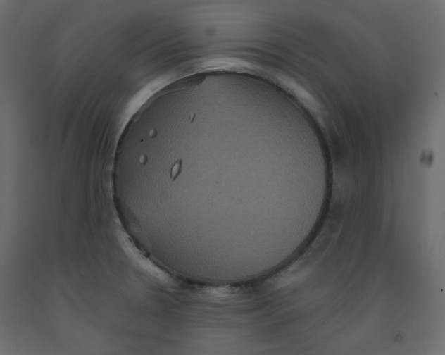 X0000092321330200710121515
