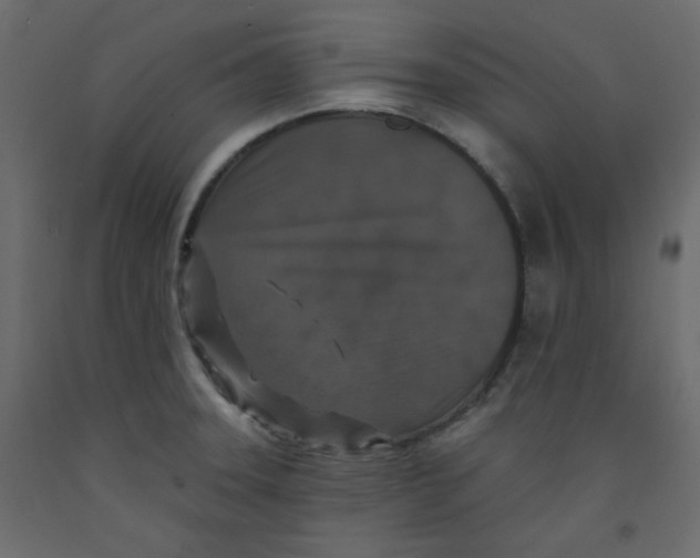 X0000092321331200710121515