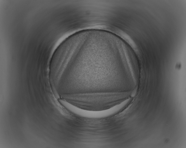 X0000092321332200710121515