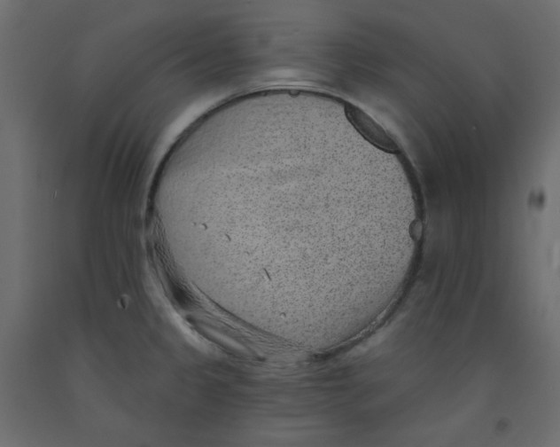 X0000092321333200710121515