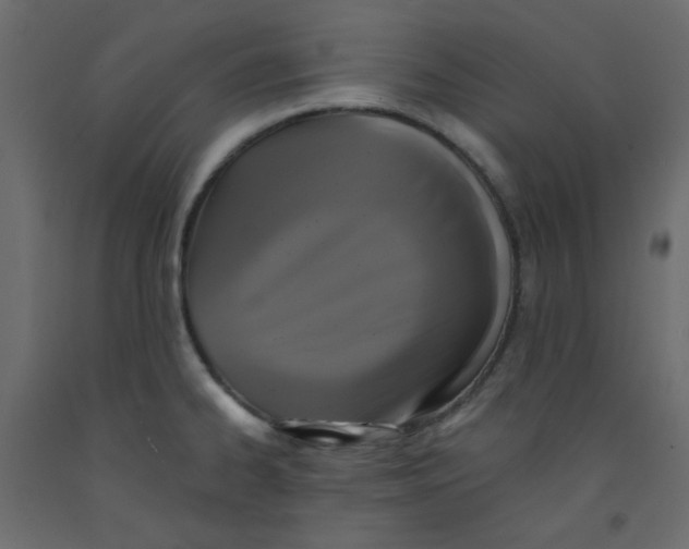 X0000092321334200710121515