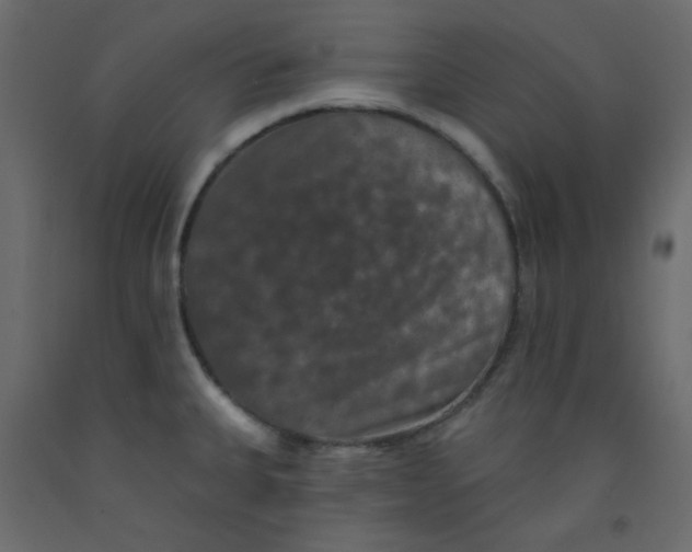 X0000092321335200710121515