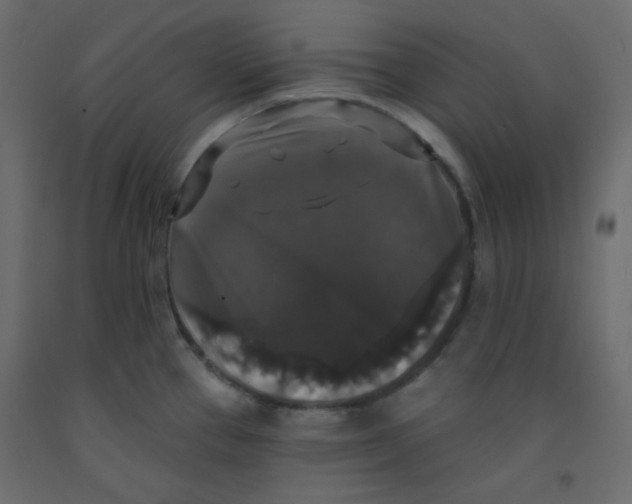 X0000092321337200710121515