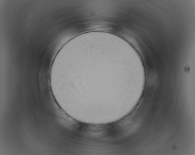 X0000092321338200710121515