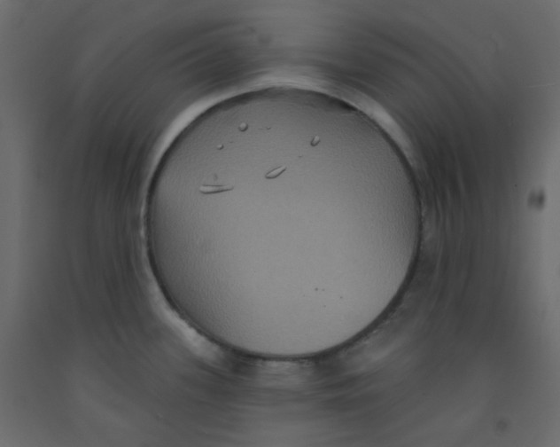 X0000092321339200710121515