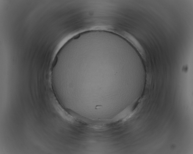 X0000092321340200710121515