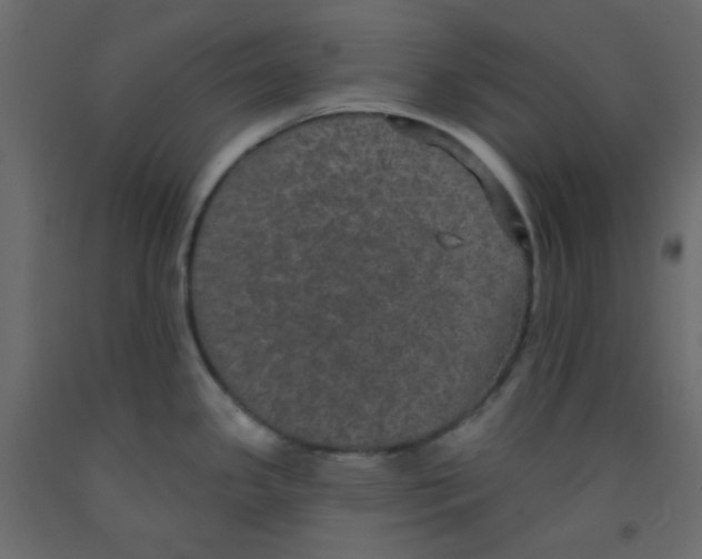 X0000092321341200710121515
