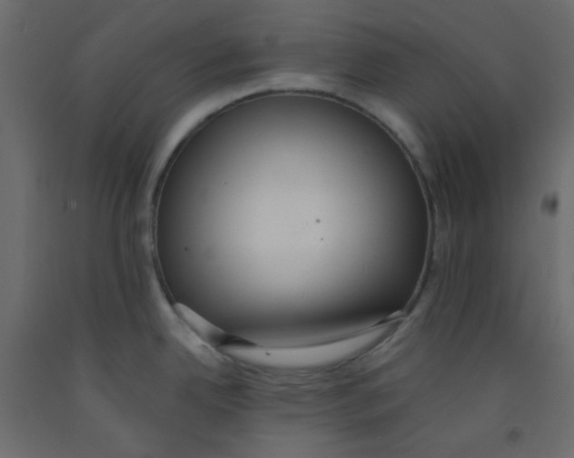 X0000092321342200710121515