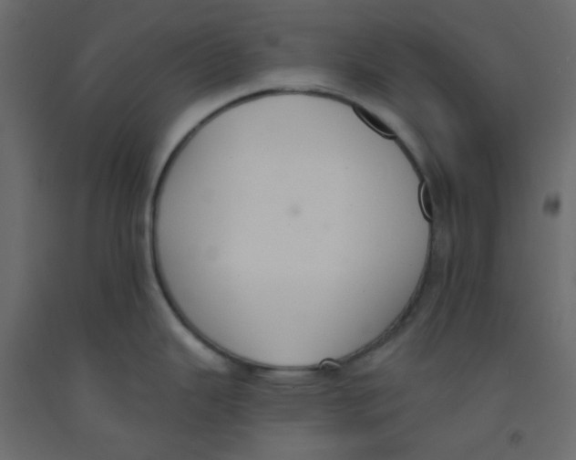 X0000092321343200710121515