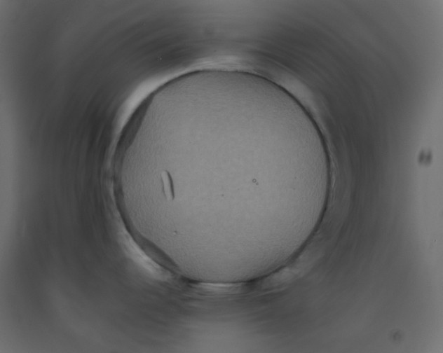 X0000092321344200710121515
